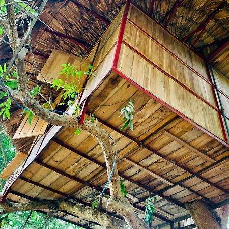 Hotel Muong Retreat- Nghi Duong Xanh Trong Bao Tang Van Hoa Nghe Thuat,Hòa Bình Esterno foto