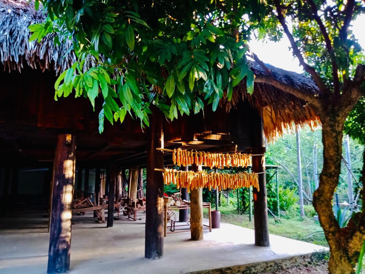 Hotel Muong Retreat- Nghi Duong Xanh Trong Bao Tang Van Hoa Nghe Thuat,Hòa Bình Esterno foto