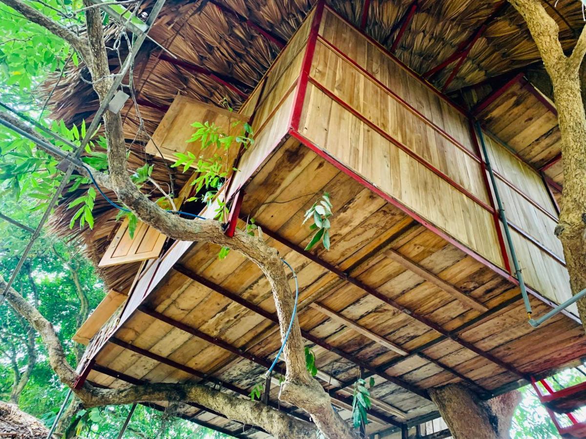 Hotel Muong Retreat- Nghi Duong Xanh Trong Bao Tang Van Hoa Nghe Thuat,Hòa Bình Esterno foto